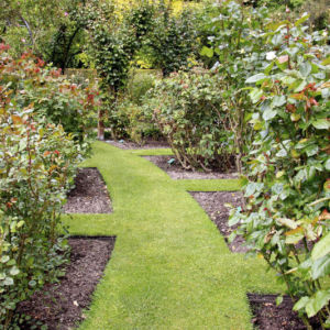 Rite-Edge Garden Edging HALF BOX- 7x 2.4m lengths