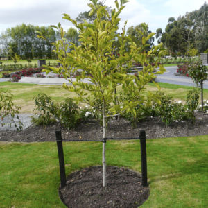 Rite-Edge Garden Edging - 4.8m value packs