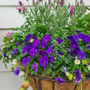 Flower Basket Support 03