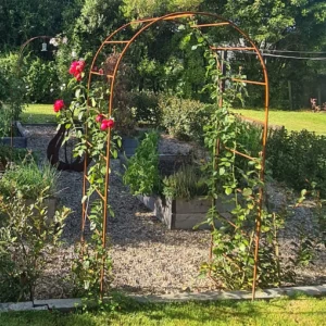 Heritage Classic ( Round) Arch