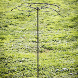 Umbrella Stand ( Rose standard and Wisteria)